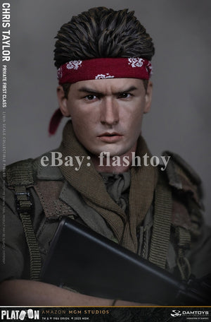 Presale DAMTOYS DMS046 1/6 Platoon Chris Taylor 12" Male Action Figure Model Toy