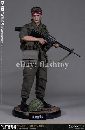 Presale DAMTOYS DMS046 1/6 Platoon Chris Taylor 12" Male Action Figure Model Toy