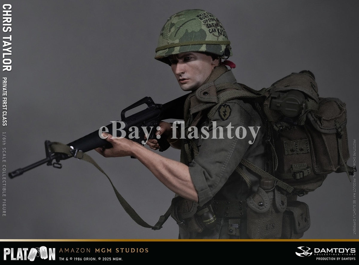 Presale DAMTOYS DMS046 1/6 Platoon Chris Taylor 12" Male Action Figure Model Toy