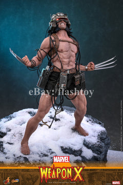 Preventa Hot Toys CMS034 1/6 Marvel Comics Weapon X Logan modelo de figura de acción