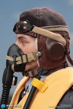 DID D80190 1/6 WWII German Luftwaffe Ace Pilot Erich Hartmann figura de acción