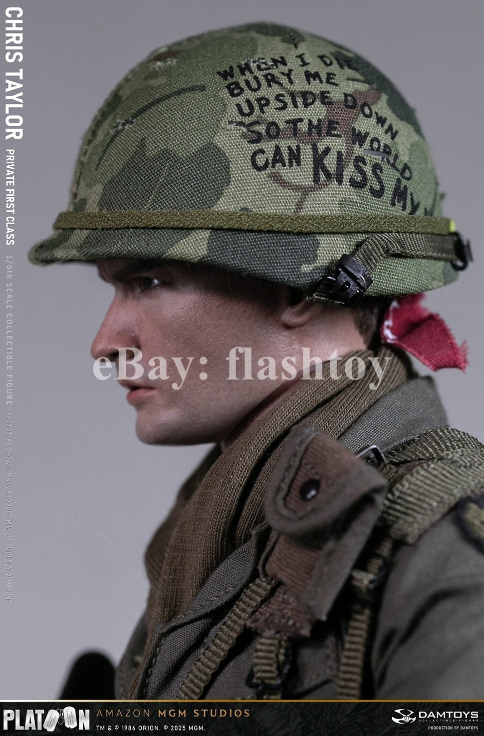 Presale DAMTOYS DMS046 1/6 Platoon Chris Taylor 12" Male Action Figure Model Toy