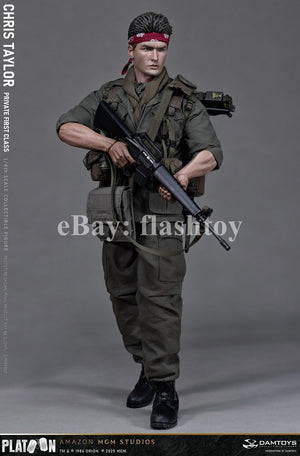 Presale DAMTOYS DMS046 1/6 Platoon Chris Taylor 12" Male Action Figure Model Toy