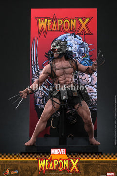 Preventa Hot Toys CMS034 1/6 Marvel Comics Weapon X Logan modelo de figura de acción