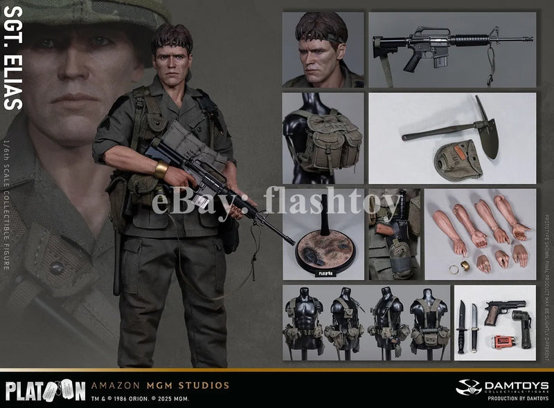 Presale DAMTOYS DMS047 1/6 Platoon Sergeant Elias 12" Male Action Figure Model